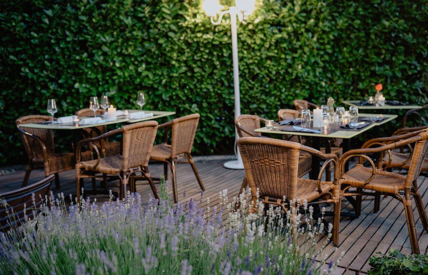 Dziedziniec Lipowy — podwórze restauracji
